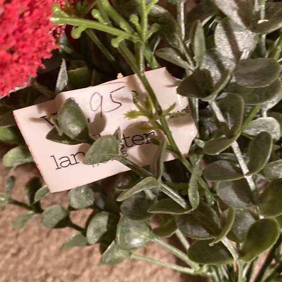 Garden Bush Pick Red - Picture 3 of 5